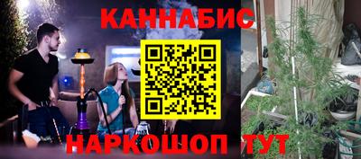 сатива Будённовск