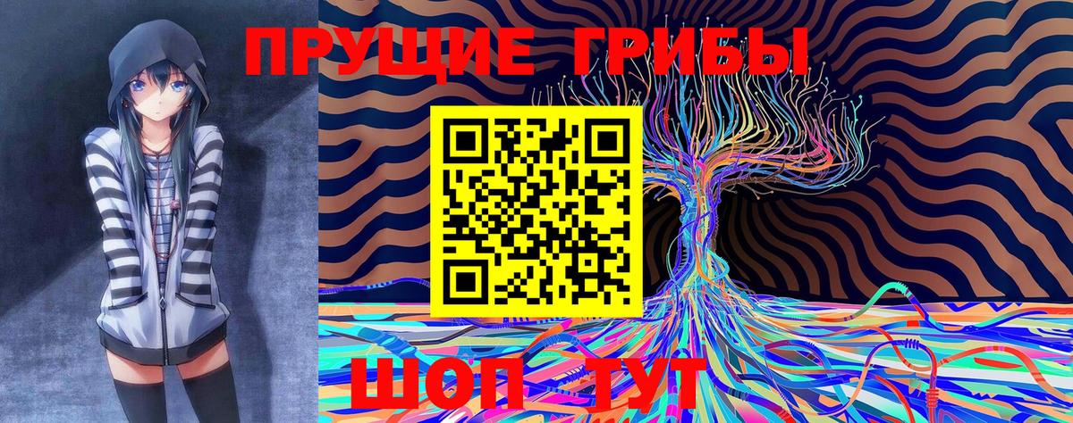 Псилоцибиновые грибы прущие грибы Тольятти