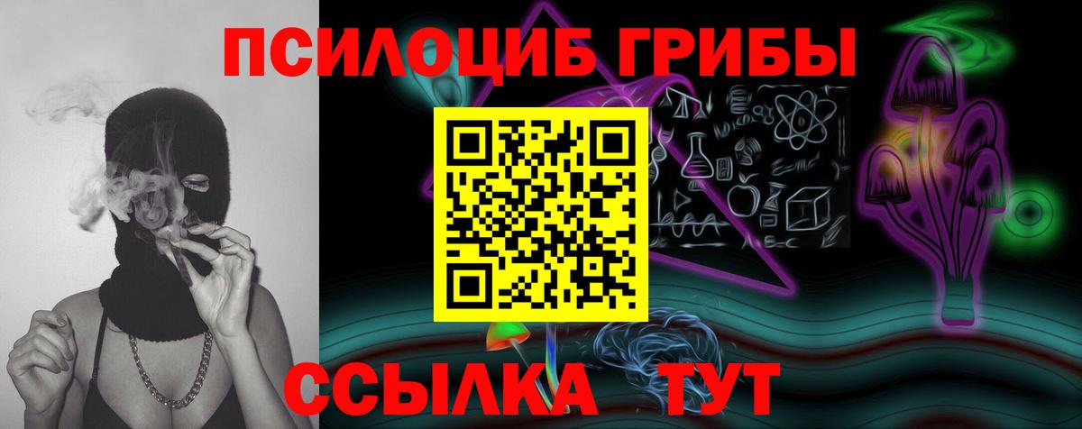 дарнет шоп  Вход с VPN  Галлюциногенные грибы Magic Shrooms  Тольятти  Галлюциногенные грибы GOLDEN TEACHER 